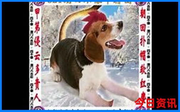 吉林主要旅游景点