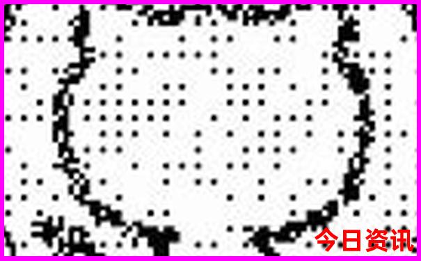 王东岳讲座全集1至144集